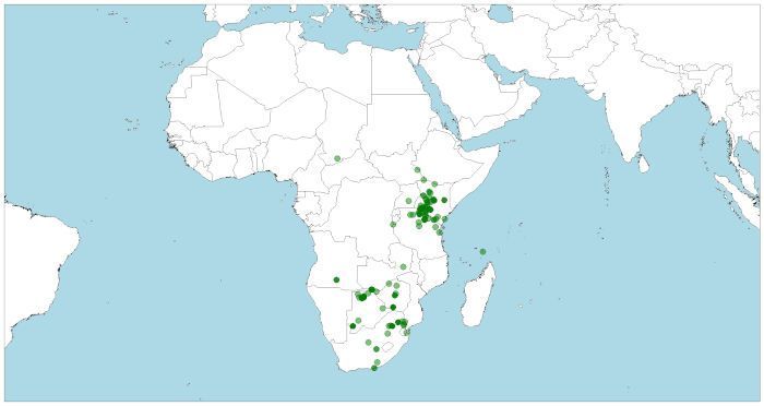 Distribución del impala, Aepyceros melampus