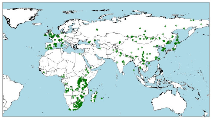 Distribución de la tarabilla común, Saxicola torquatus