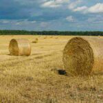 agricultura-extensiva