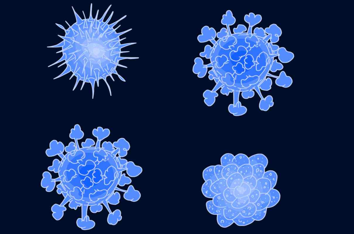 Ciclo replicativo de los virus