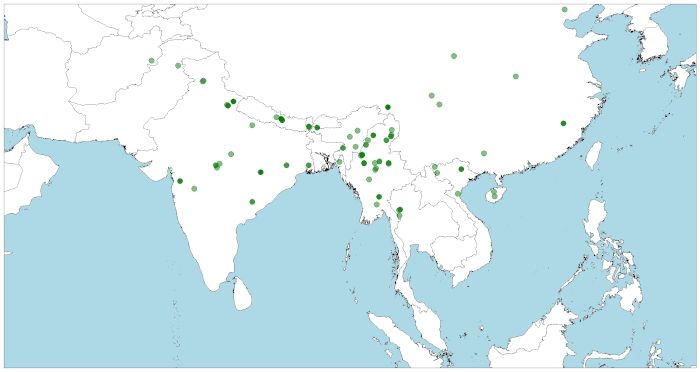 Distribución de  Macaco Rhesus, Macaca mulatta