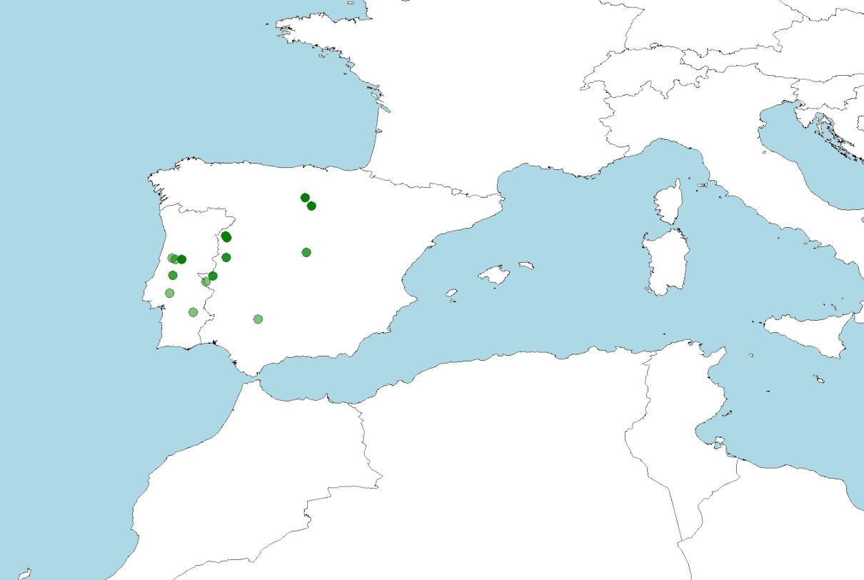 Distribución de Pseudochondrostoma polylepis