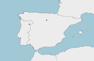 Boga del Duero, Pseudochondrostoma duriense, pez combativo y luchador