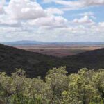 Bosque mediterráneo, clima, flora y fauna. Dónde encontrarlo bosque-mediterraneo