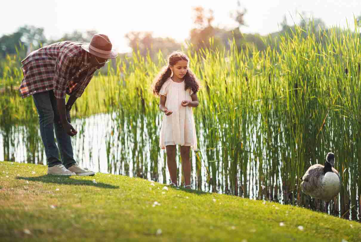 Comportamiento del ganso