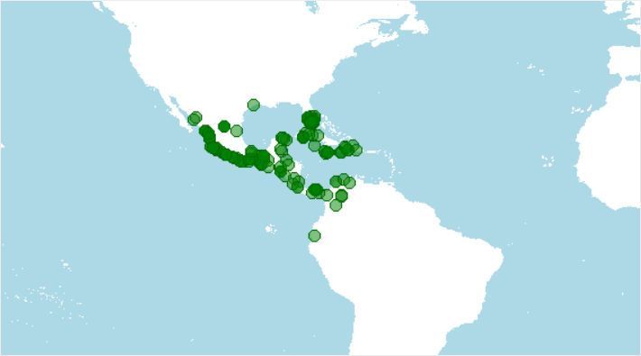 Distribución del cocodrilo americano, Crocodylus acutus