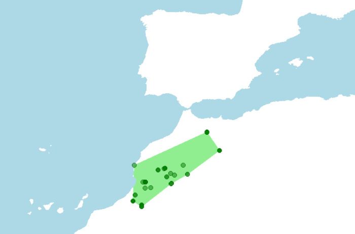 Distribución de Atlantoxerus getulus