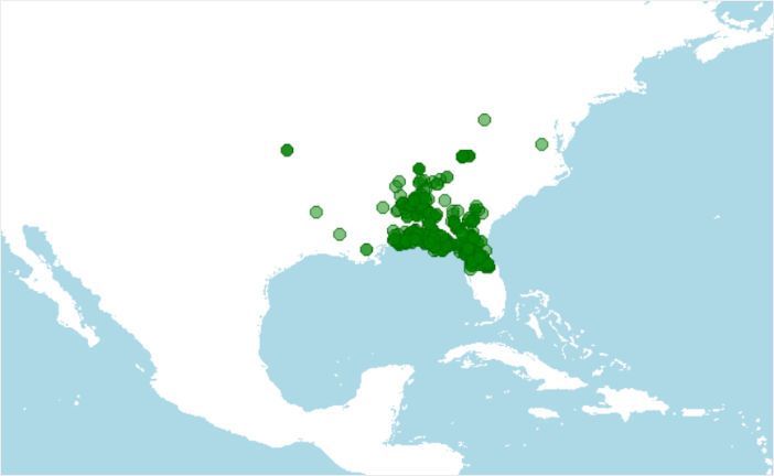 Distribución de la tortuga boba almizclera, Sternotherus minor