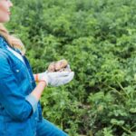 agricultura-de-subsistencia