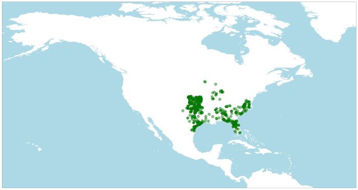 Distribución del lagarto de cristal delgado, Ophisaurus attenuatus