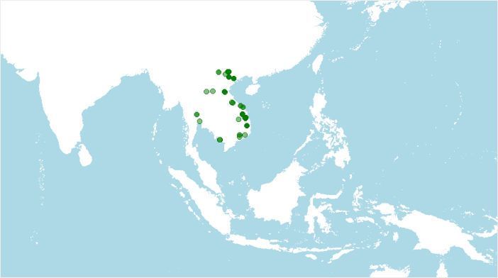 Distribución de Physignathus cocincinus