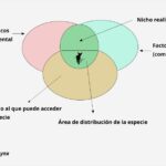 nicho-ecologico-1
