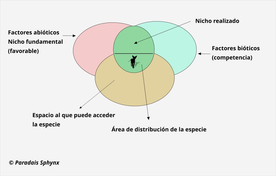 Esquema o resumen de nicho ecológico