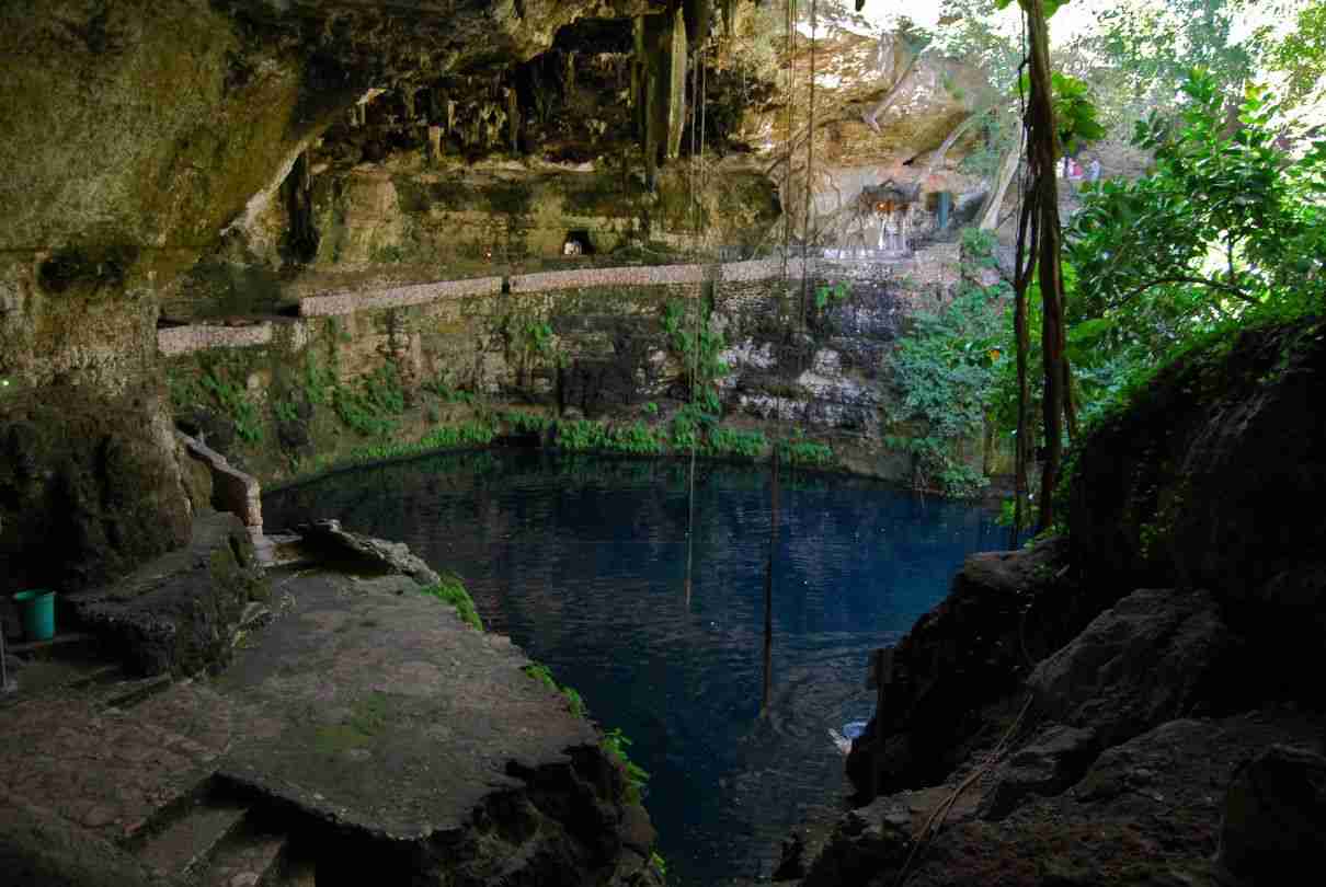 Peces de cenote