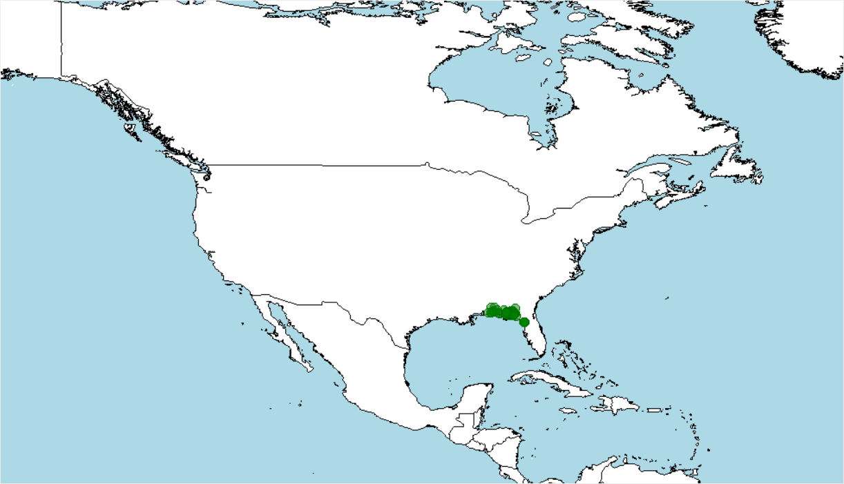 Distribución de anfiuma de un dedo, Amphiuma pholeter