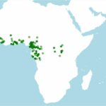 distribucion-donde-vive-arthroleptis-poecilonotus