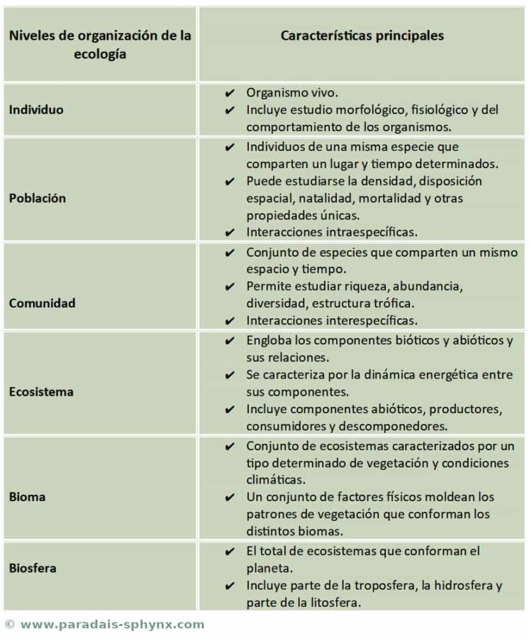Niveles de organización de la ecología