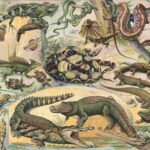 reproduccion-de-los-reptiles