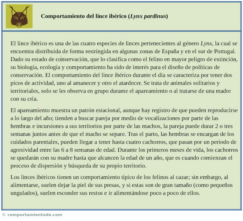Resumen sobre el comportamiento de Lynx pardinus