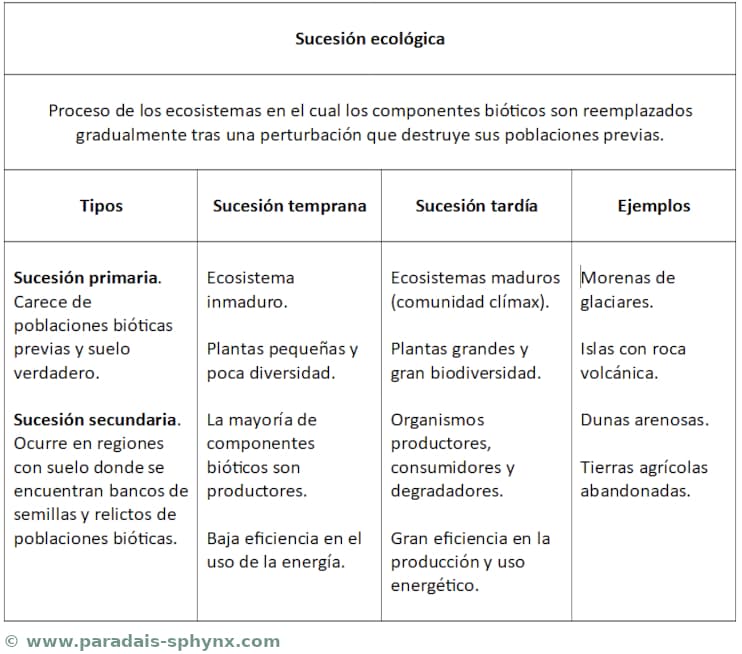 Esquema o resumen sobre sucesión ecológica