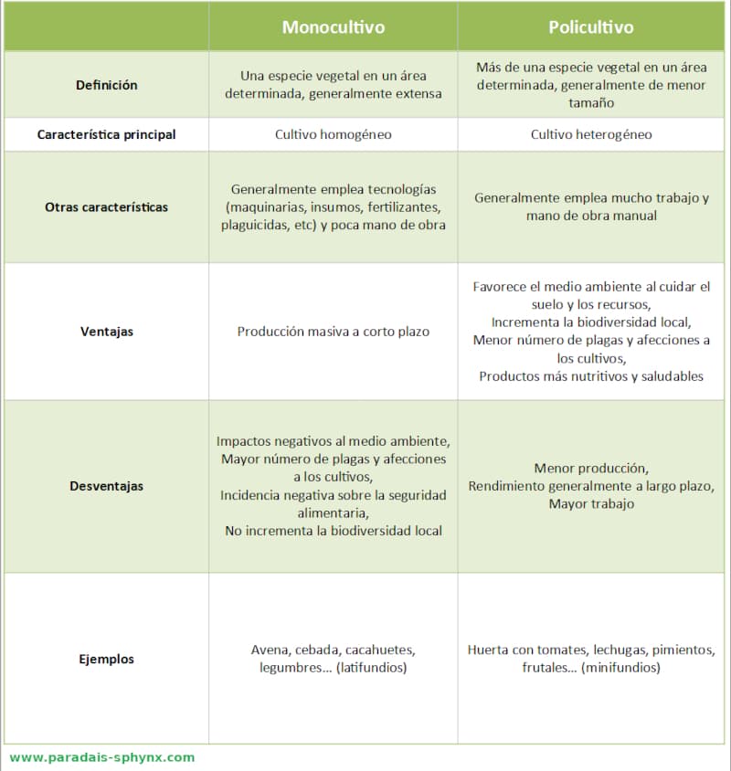 Cuadro explicativo con las diferencias entre monocultivo y policultivo, ejemplos