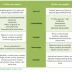 cultivos-de-secano-y-regadio