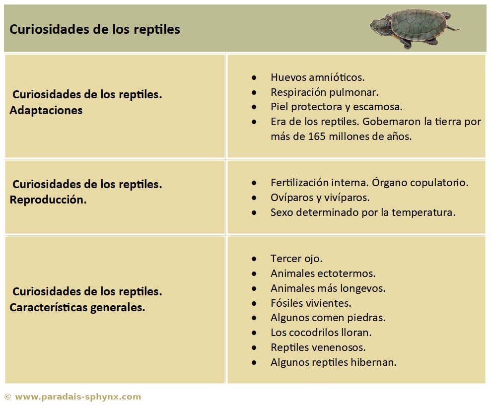 Resumen sobre curiosidades de reptiles