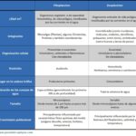 diferencias-entre-fitoplancton-y-zooplancton