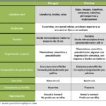 Diferencias entre hongos y plantas, también sus similitudes diferencias-entre-hongos-y-plantas-similitudes