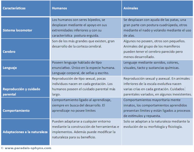 Diferencias entre humanos y animales