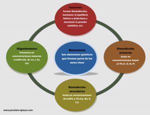 Qué son los bioelementos, clasificación, funciones y ejemplos