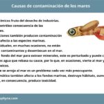 causas-de-contaminacion-de-los-mares