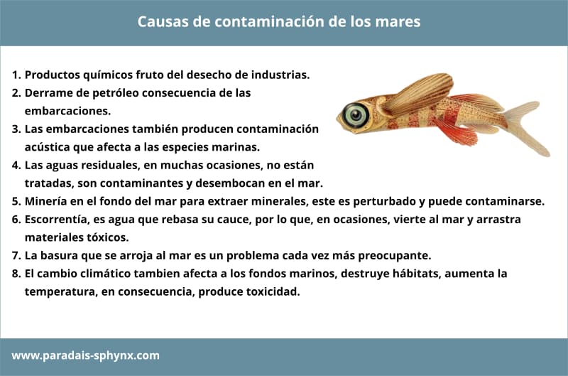 7 formas de contaminación de los mares que deben cesar ¡ya!