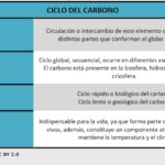 ciclo-del-carbono