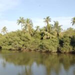 conservacion-de-la-biodiversidad