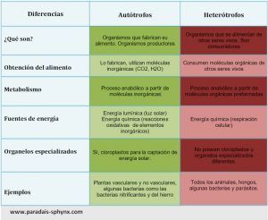 Diferencias entre organismos autótrofos y heterótrofos