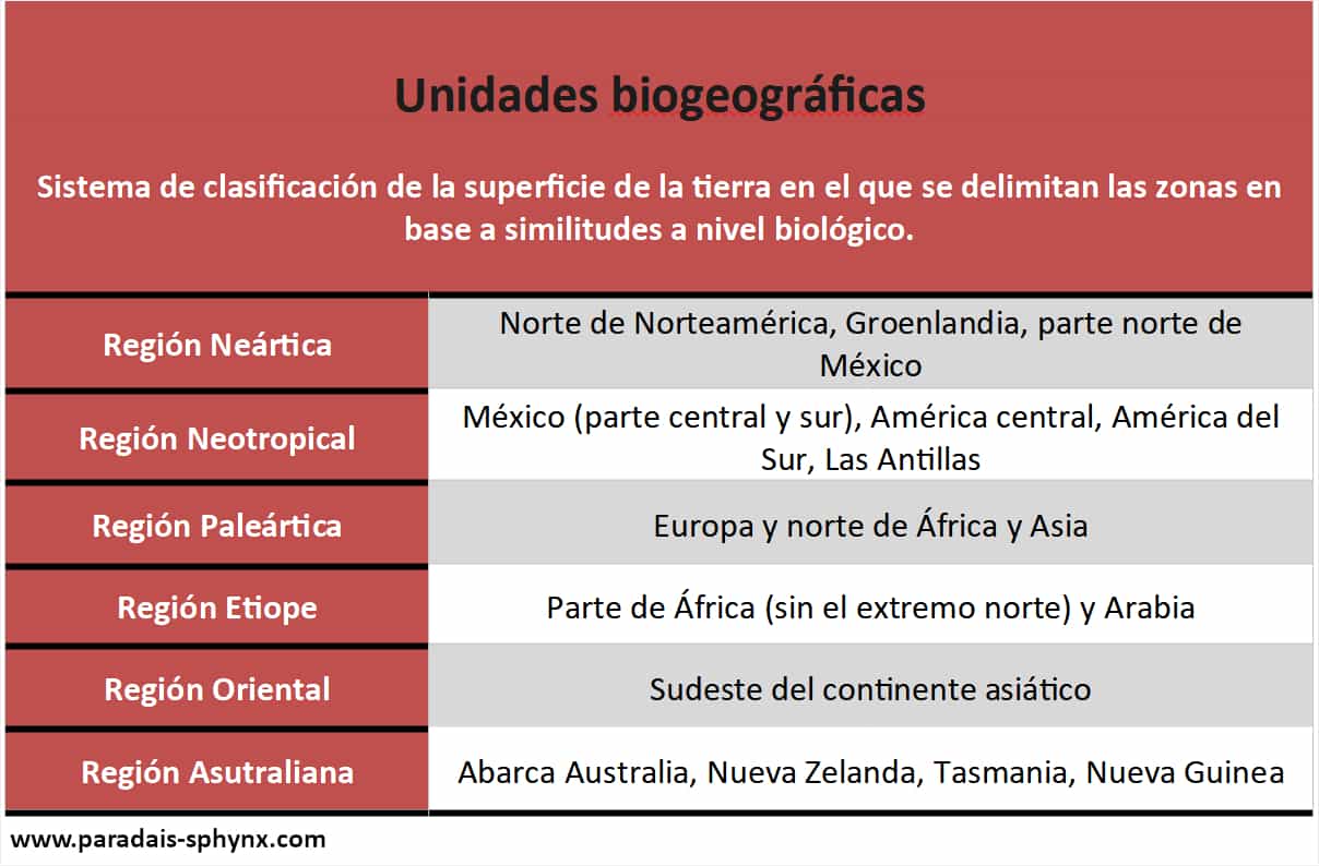Resumen o esquema sobre regiones biogeográficas
