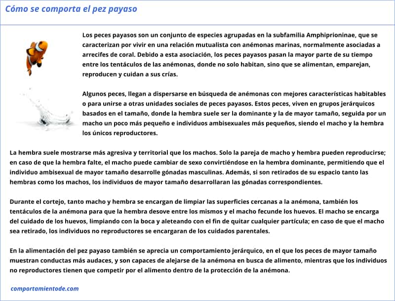 Resumen sobre el comportamiento del pez payaso