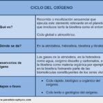 ciclo-del-oxigeno