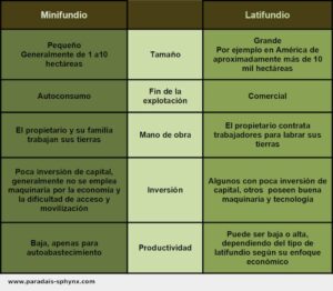Diferencias entre minifundio y latifundio, con cuadro resumen