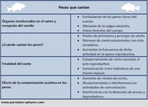 Peces que cantan, un mundo submarino no silencioso