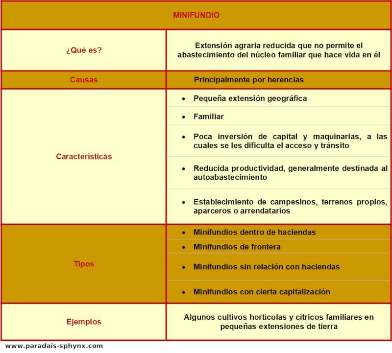 Resumen, esquema de un minifundio