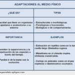 adaptaciones-al-medio-fisico