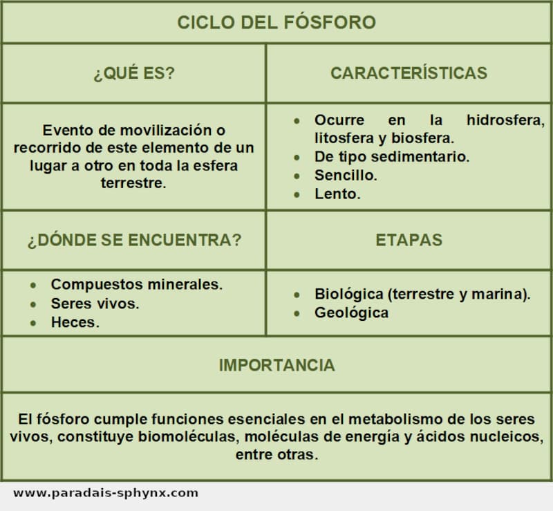 Ciclo del fósforo