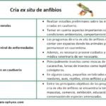 cria-ex-sito-de-anfibios