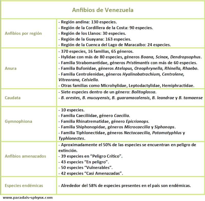 Esquema sobre anfibios de Venezuela