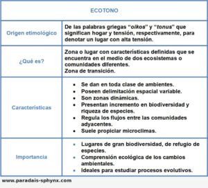 Ecotono, qué es, características, importancia y ejemplos