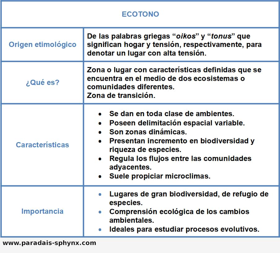 Ecotono, resumen o esquema.