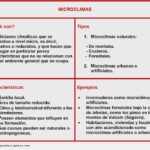 Microclimas, qué son, características, tipos y ejemplos Cuadro resumen de microclimas