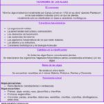 taxonomia-de-las-algas